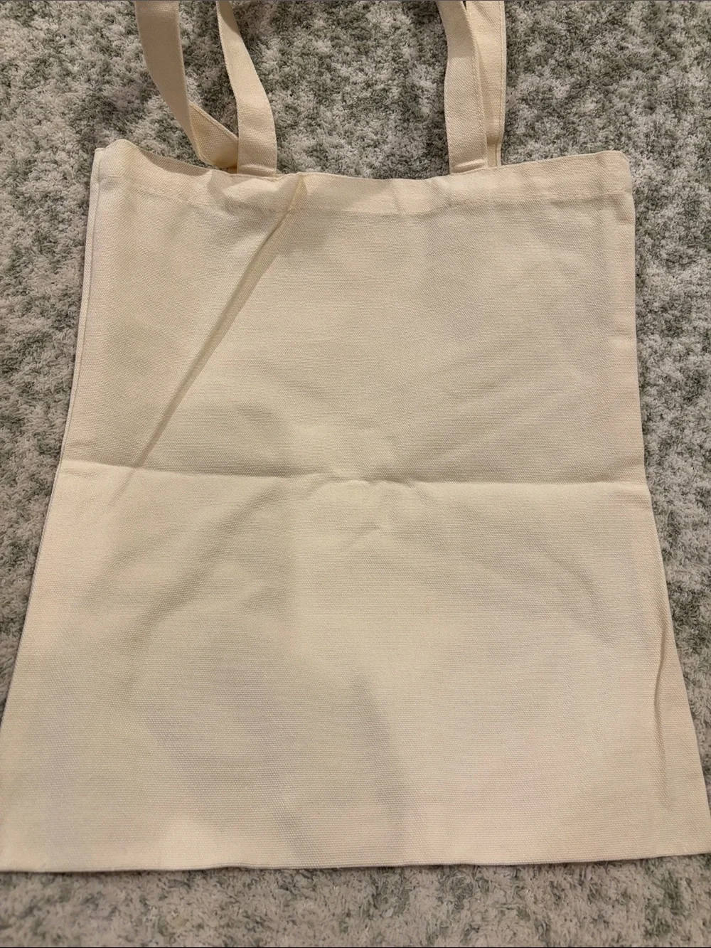 Southwest Ceramic Potted Succulents Cotton Canvas Tote Bag NWT 13.5x15.5”